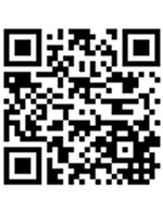 mobilewebsiteseo