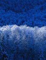 Test(테스트)