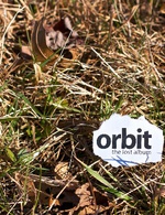 Orbit